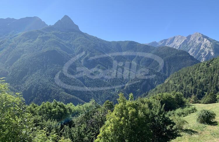 Vente / Praloup 1500 Terrain  Vente / Praloup 1500 Terrain