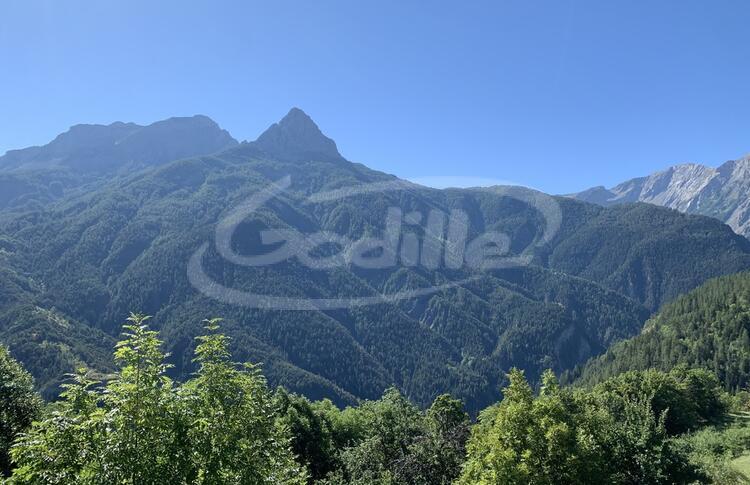 Vente / Praloup 1500 Terrain  Vente / Praloup 1500 Terrain